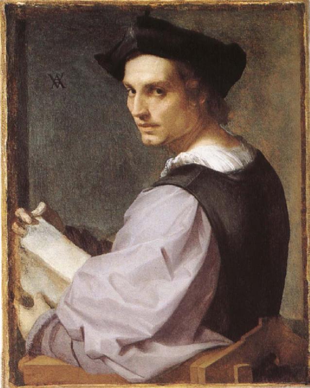 Andrea del Sarto Portratt of young man oil painting picture